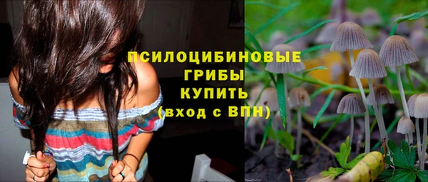 шишки Алексин